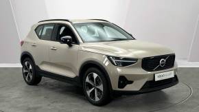 VOLVO XC40 at Volvo Cars Poole Poole