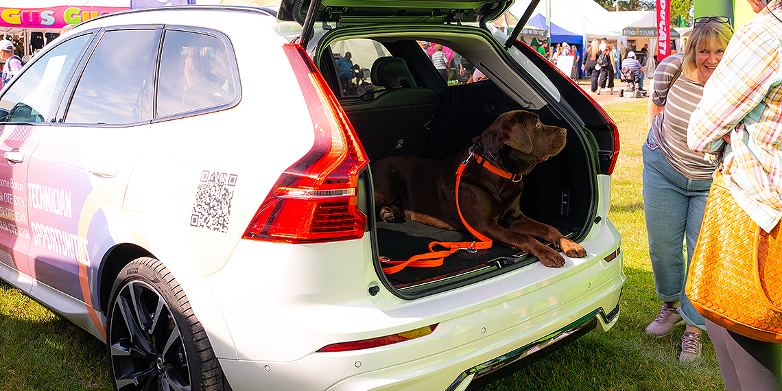 Volvo Cars Poole and a pet a New Forest Show