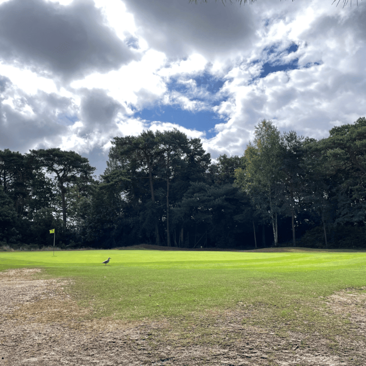 Meyrick Park and Volvo Cars Poole Drive Partnership Forward with Exciting Events and Displays