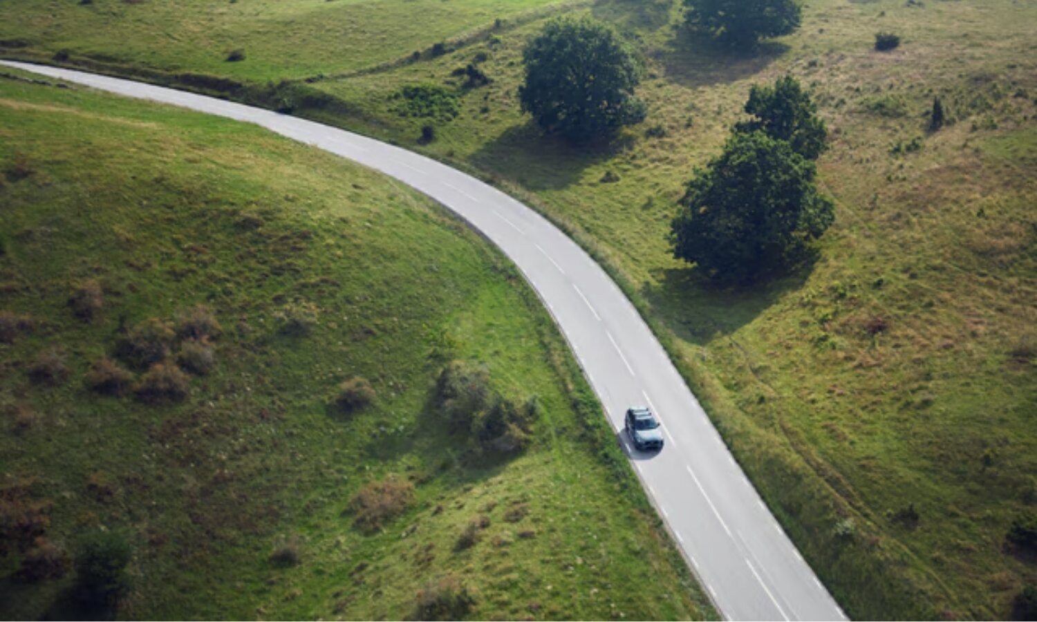 Summer road ready - Three top tips for driving in allergy season
